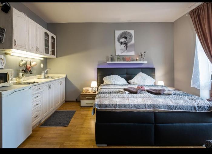Liptovský Mikuláš Apartman Zara Superior מראה חיצוני תמונה